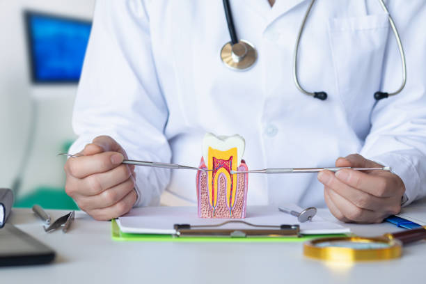 Best After-Hours Dental Care in Indian River, MI